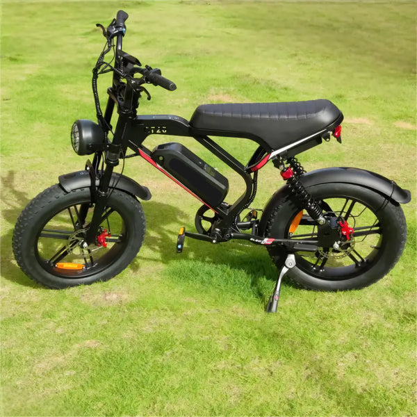 Fatbike GT20 de nieuwste V20 Pro