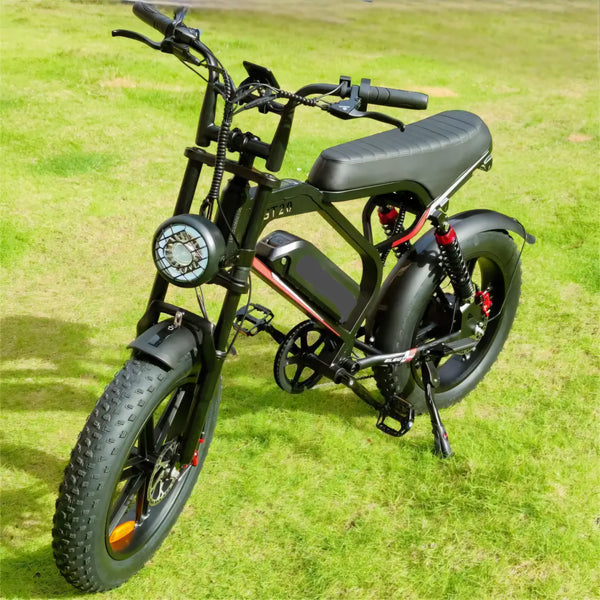 Fatbike GT20 de nieuwste V20 Pro